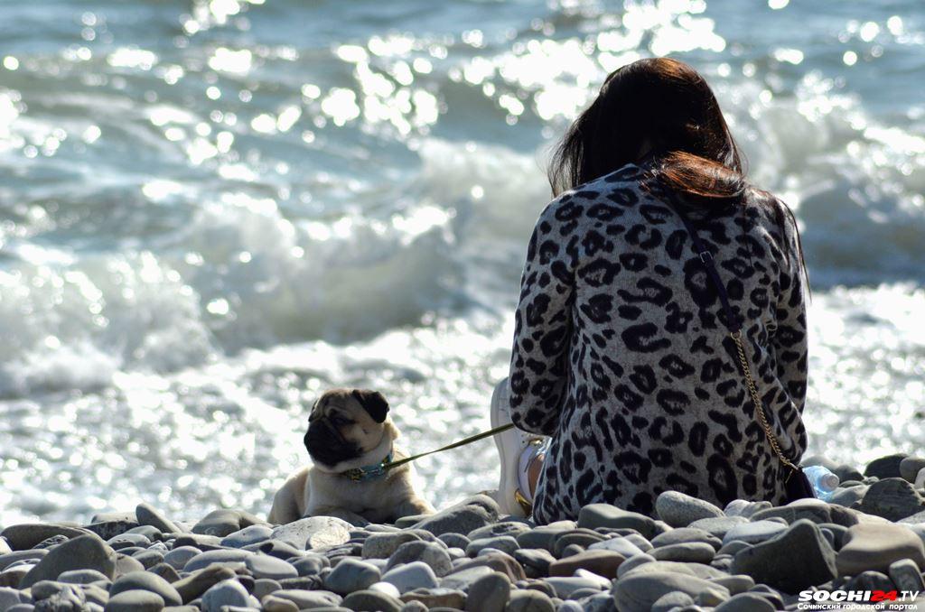 Налоги, штрафы и сборы, которые вырастут для россиян в 2023 году