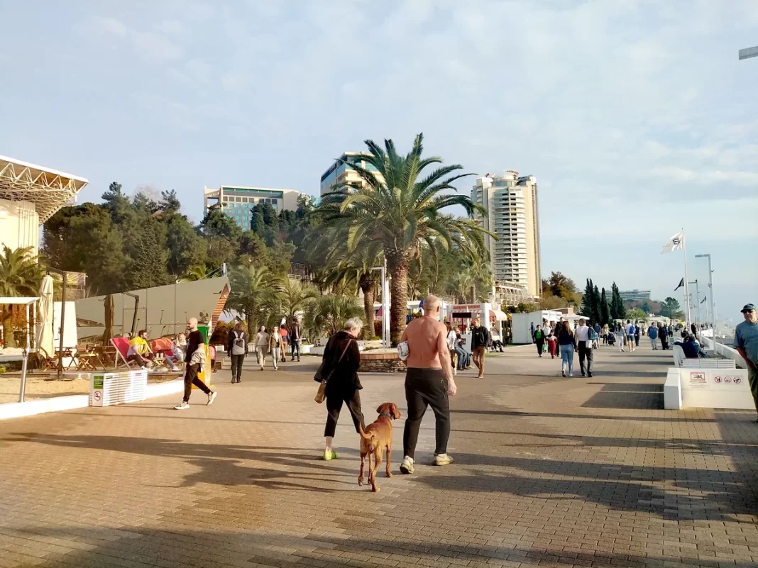 Россиянка рассказала, почему в Сочи зиму не отличить от лета