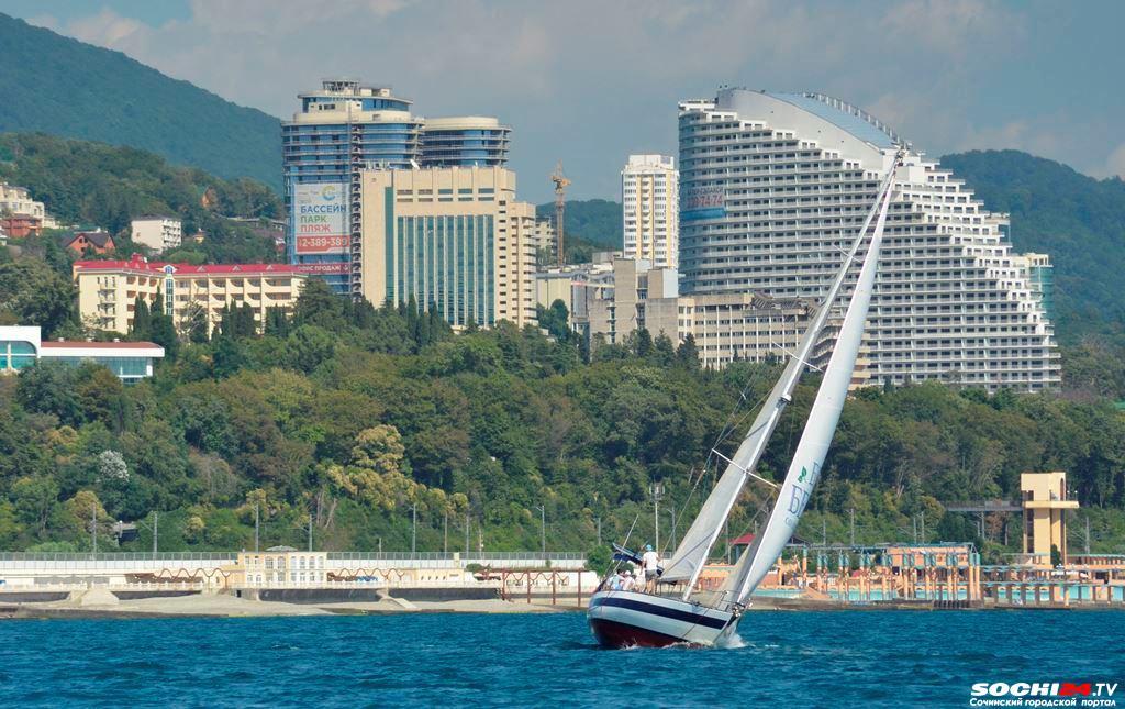 Сытый Сочи: какая отрасль приносит миллиарды бюджету города?