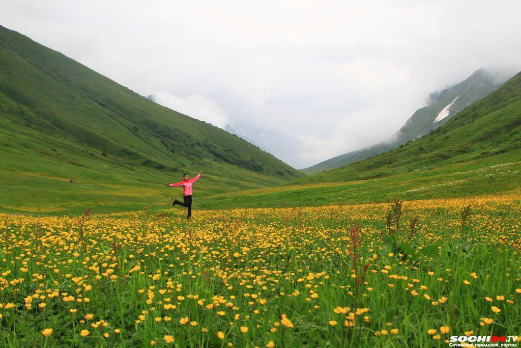 В Сочи за 464 млн рублей с молотка уйдут сады одного предприятия