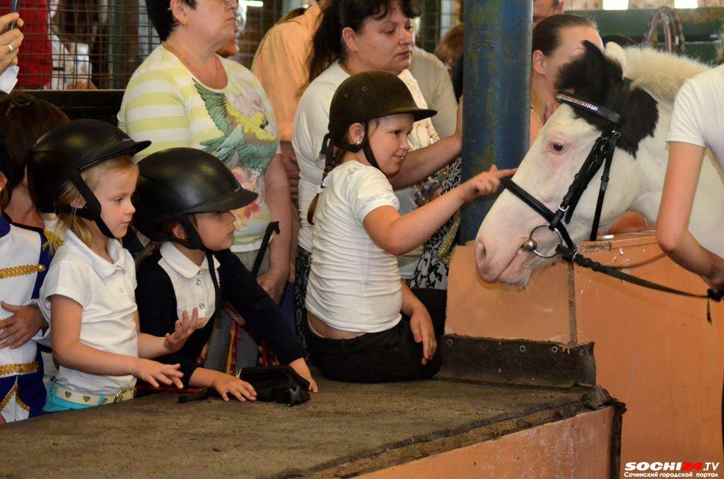 Где в Сочи бесплатные спортивные секции?