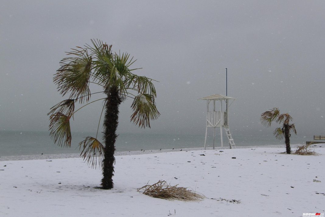 Снег и 2 градуса тепла: в Сочи ожидается плохая погода
