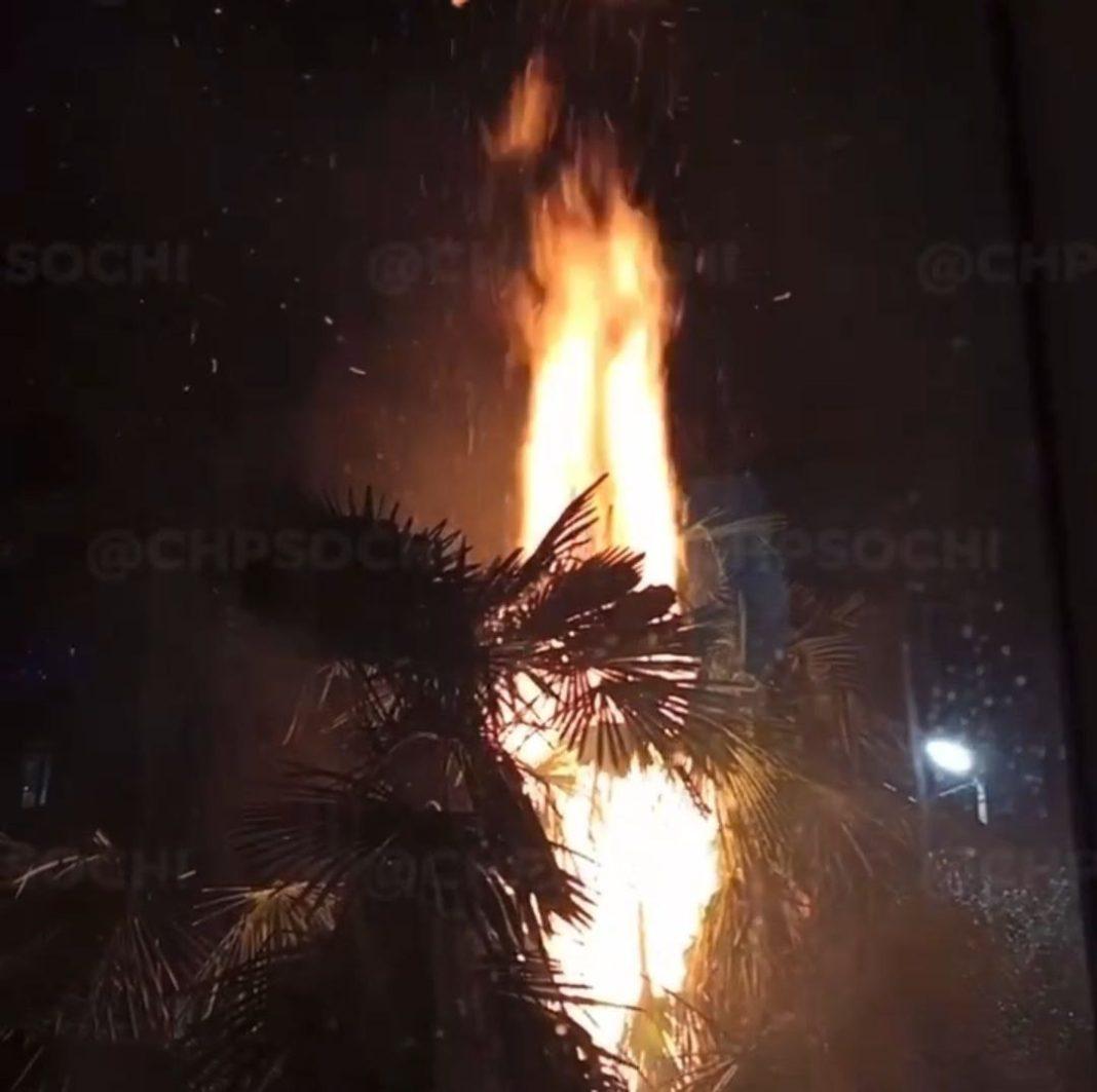 Петарды детям не игрушки: в Сочи случился пожар (видео)