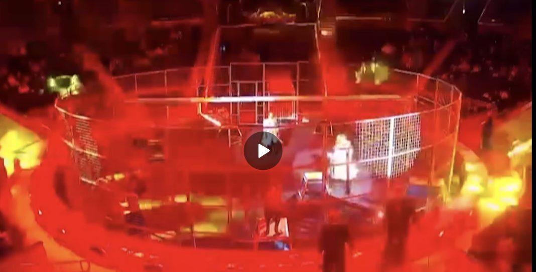 В цирке в Сочи лев во время шоу растерзал дрессировщика (Видео)