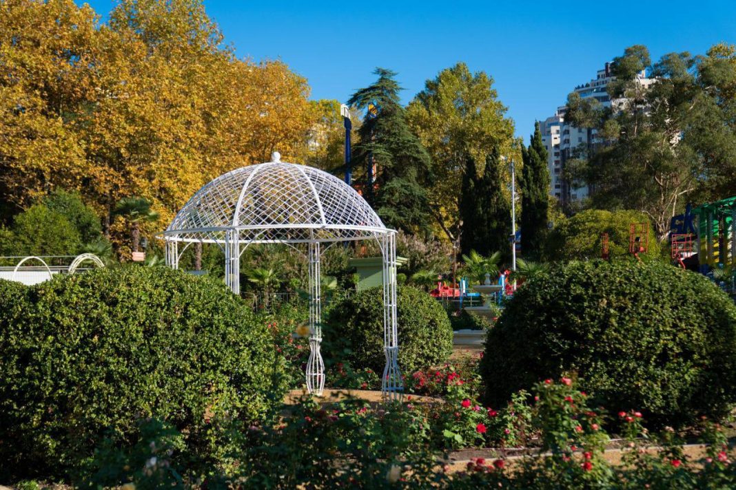 Подошёл к концу год экологии в Сочи: что удалось сделать?