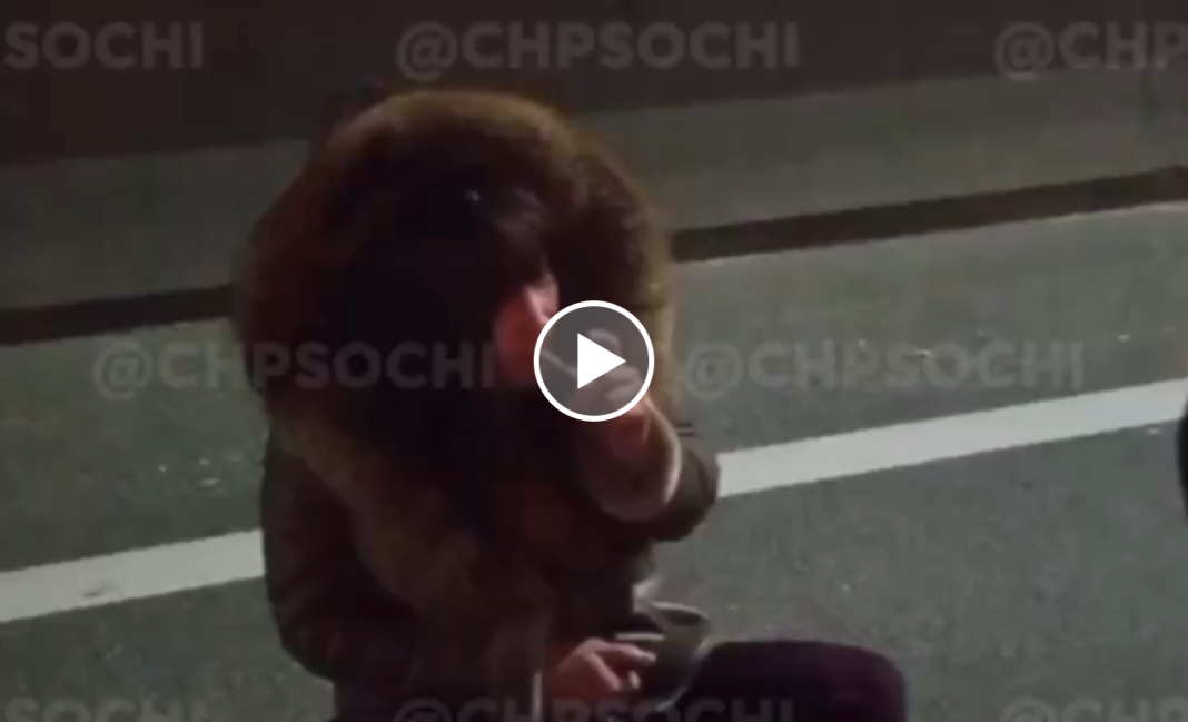 Дама из Сочи уселась на проезжей части и материла водителей (Видео)