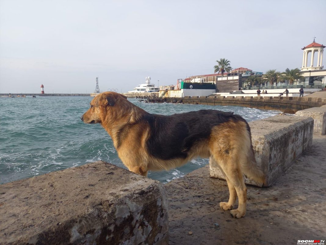 Ожидается похолодание: какая погода будет на неделе в Краснодарском крае