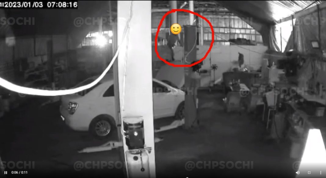 В Сочи ограбили СТО. Хозяин сервиса не хочет обращаться в полицию (видео)