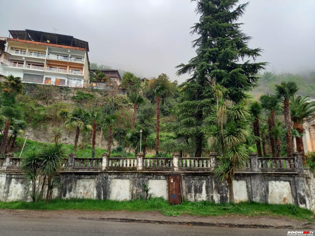 Это ужас, а не отдых: россиянин никому не советует ехать в Абхазию