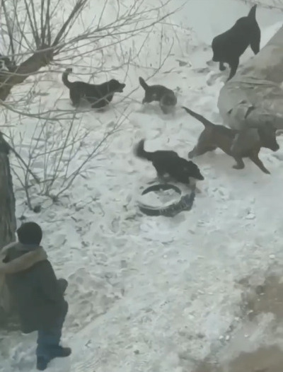 Попавший на видео героический поступок юного москвича восхитил Сеть (ВИДЕО)