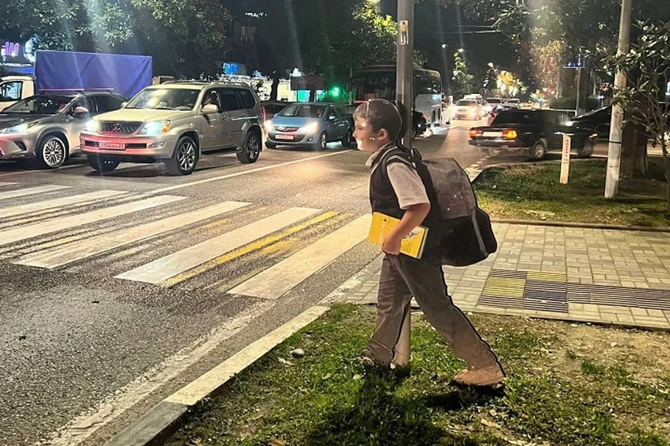 Скоростной режим на дорогах в Сочи будут контролировать дети