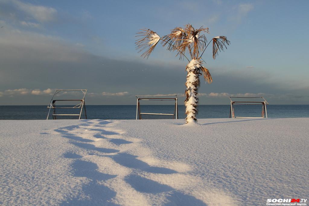 Зима подкралась незаметно: синоптики дали прогноз для Сочи