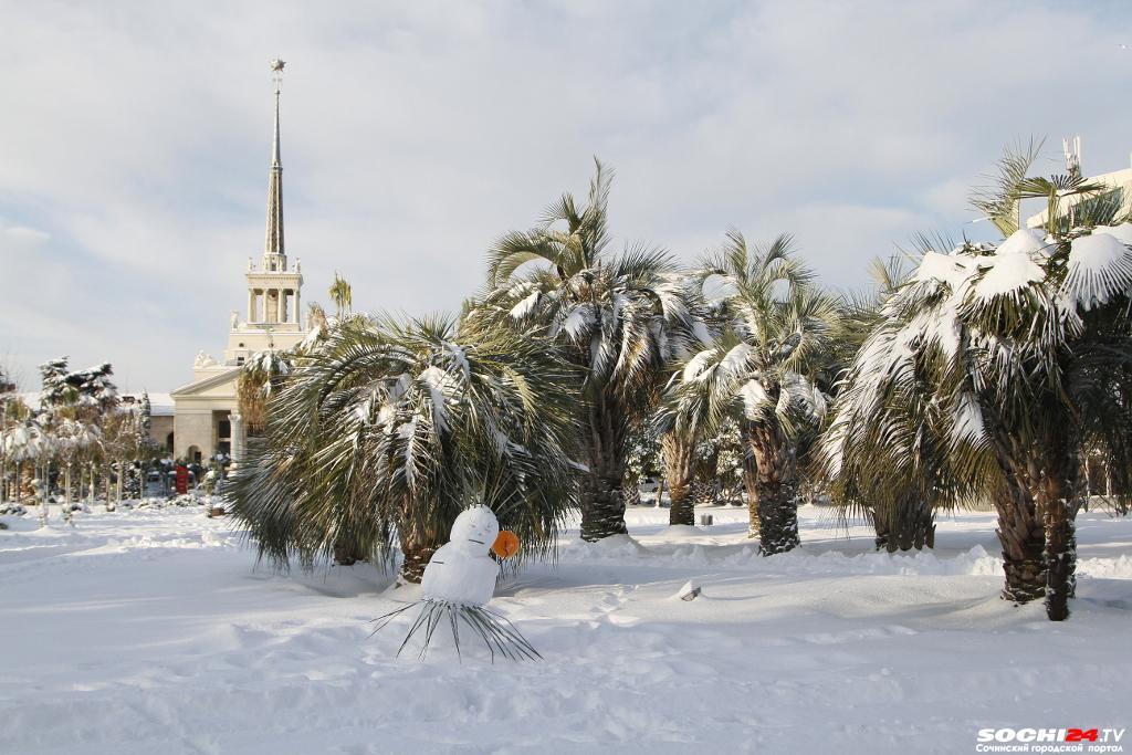 Сильный снег на побережье: Сочи накрывает холодный фронт