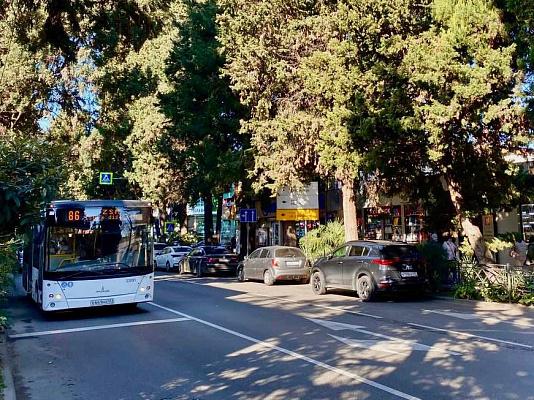 С 18 февраля в Сочи запустят новый автобус