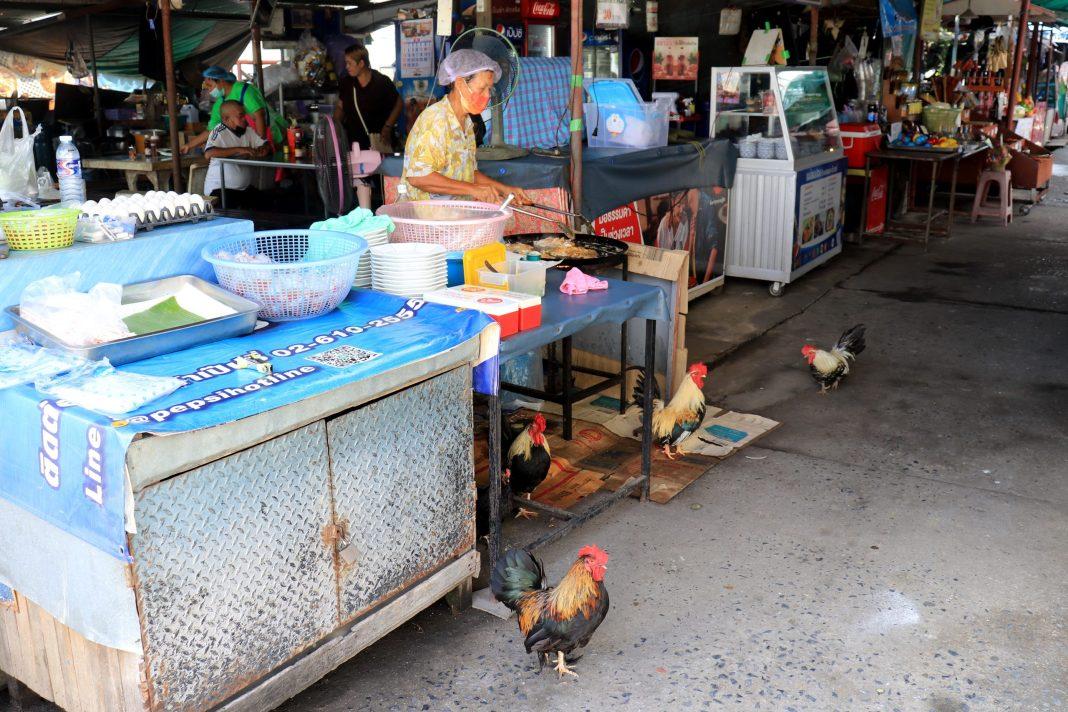 Готовят грязными руками рядом с тараканами и собаками: россиянин рассказал, как не голодать в Таиланде