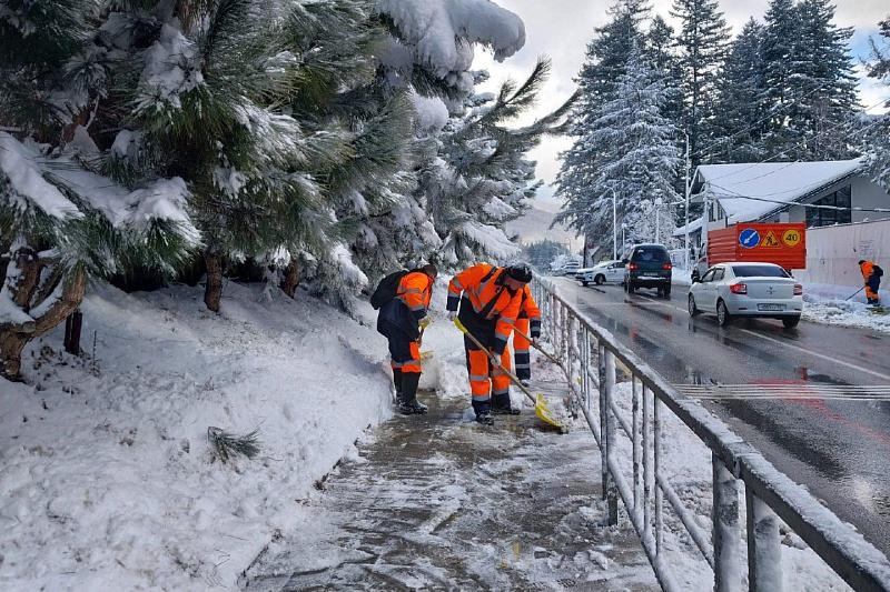 ДТП, упавшие деревья, гололед: в Сочи завершают борьбу с последствиями непогоды (ВИДЕО)