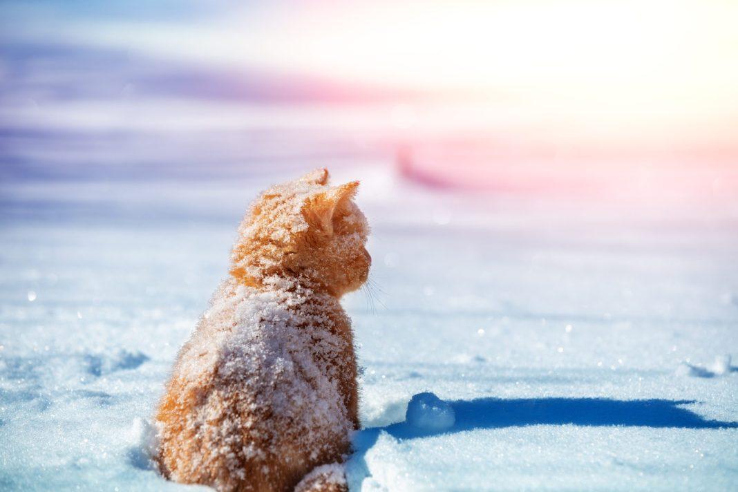 У сочинцев все наладится: синоптики дали прогноз для Сочи на ближайшие дни