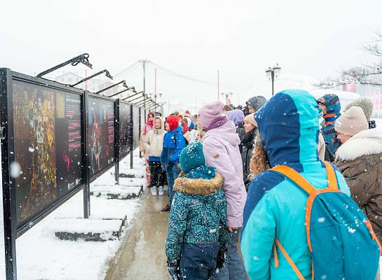 Ради этого десятки человек толпятся под снегом в Красной Поляне: что они хотят увидеть?