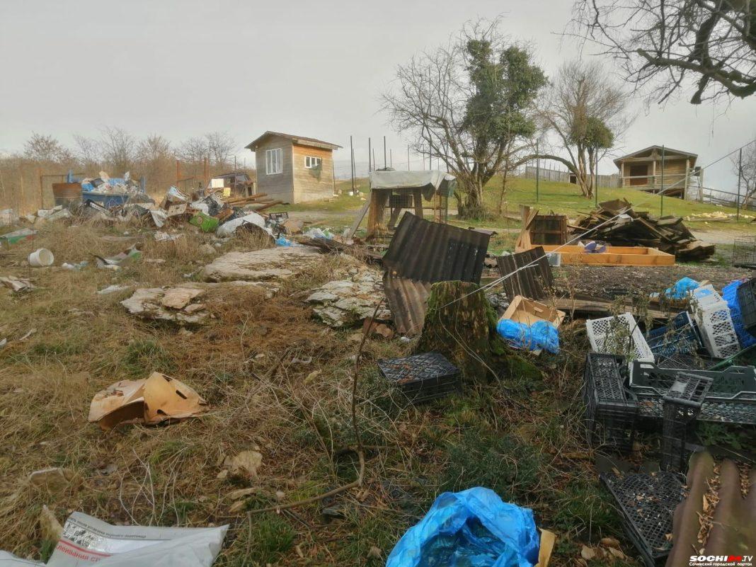 Два верблюда и олень сбежали из брошенного «Сафари-парка» в Сочи
