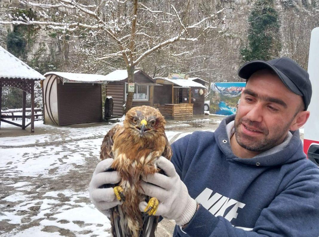 Рабочие в Сочи поймали опасного хищника: как им это удалось?