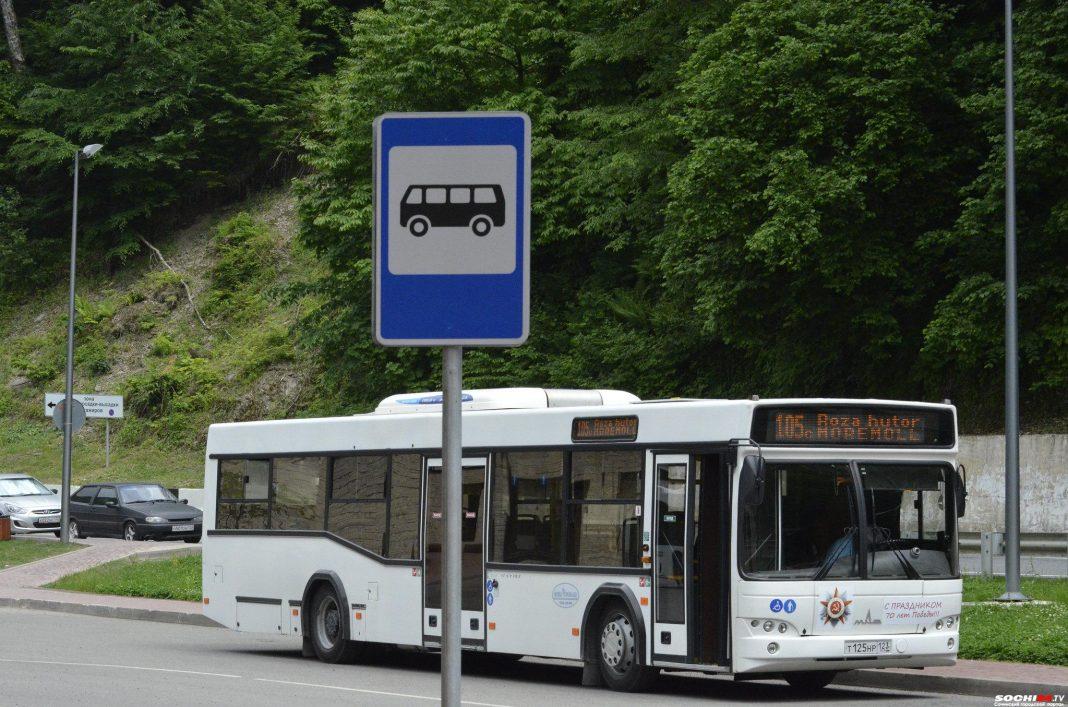 В сочинских автобусах подорожает проезд
