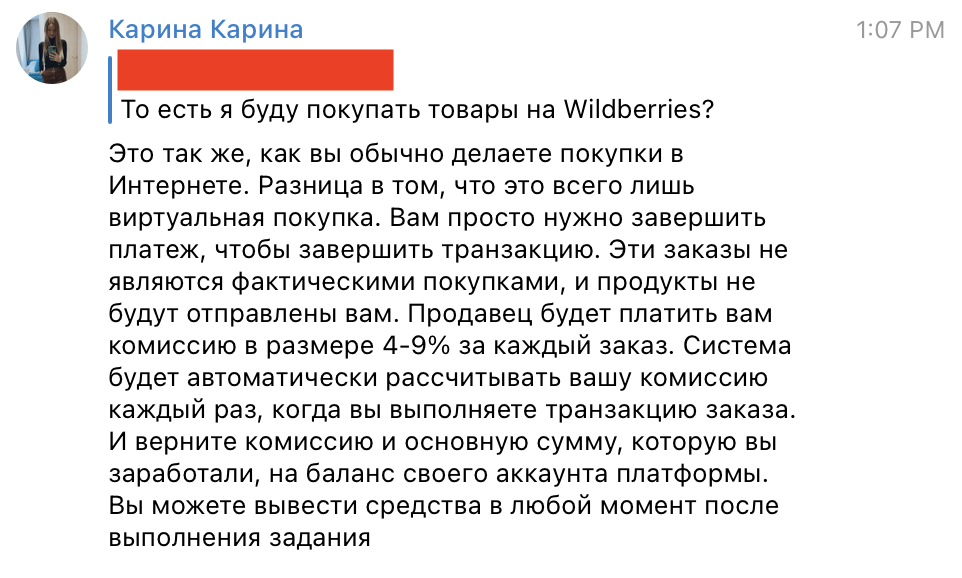 Написал менеджер Wildberries: что будет если согласиться на лёгкую работу в Интернете? 2
