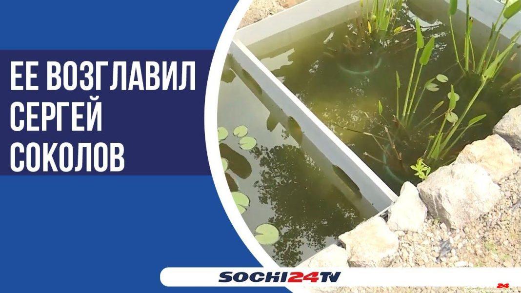 Зачем в Сочи завезли экзотические деревья и выпустили в реки странных рыб?