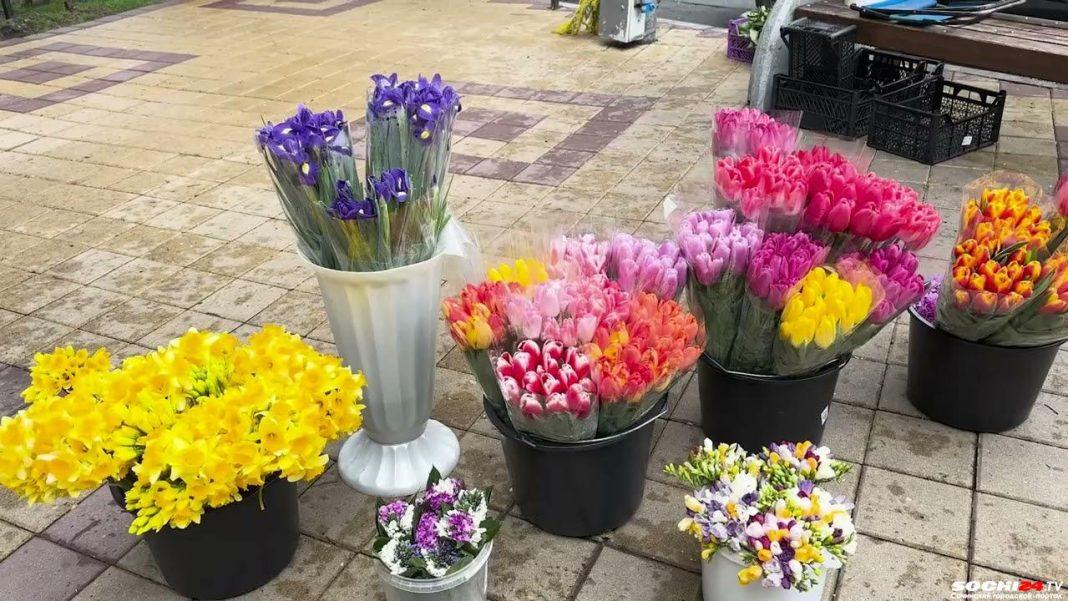 В Сочи начались ежегодные рейды по выявлению точек продаж первоцветов