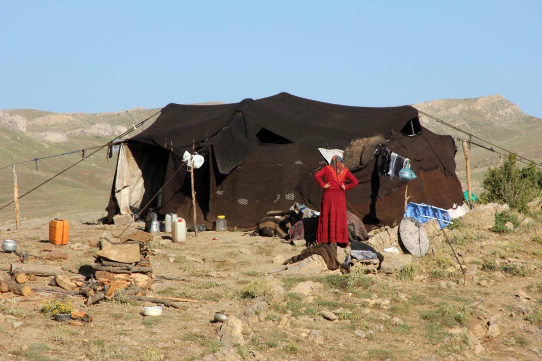 Рожают на улице и собирают верблюжьи экскременты: россиянку шокировала деревня бедуинов в Хургаде