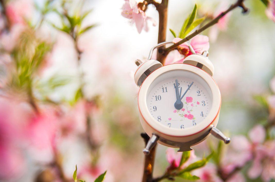 День шабаша, духовного очищения и плодородия: что особенного в дне весеннего равноденствия?