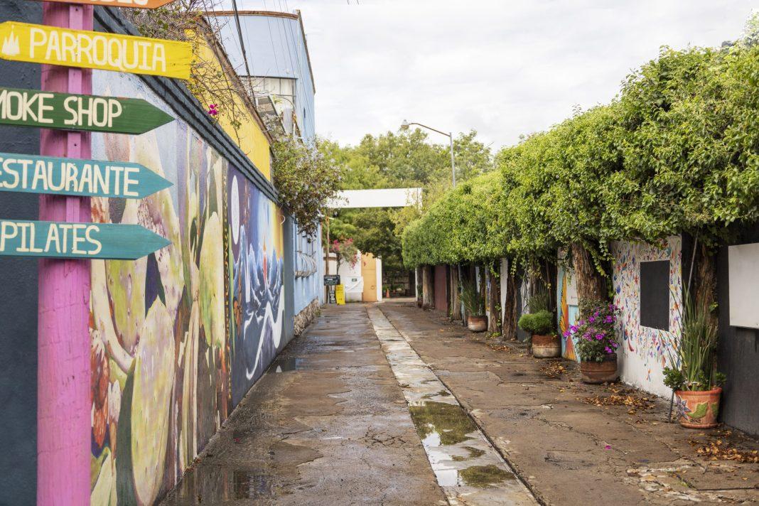 Не уважают личные границы и боятся скуки: 7 необычных фактов о родине Фриды Кало, о которых вы не знали