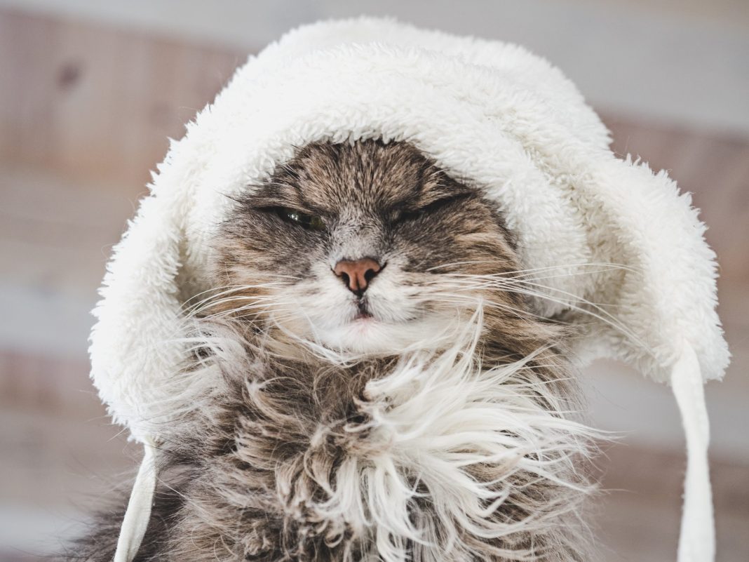 Заморозки до минус шести: жителям Кубани нужно приготовиться