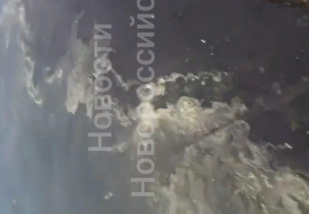 В Чёрном море разлилась нефть, поражена площадь в 40 тысяч кв. метров (Видео)