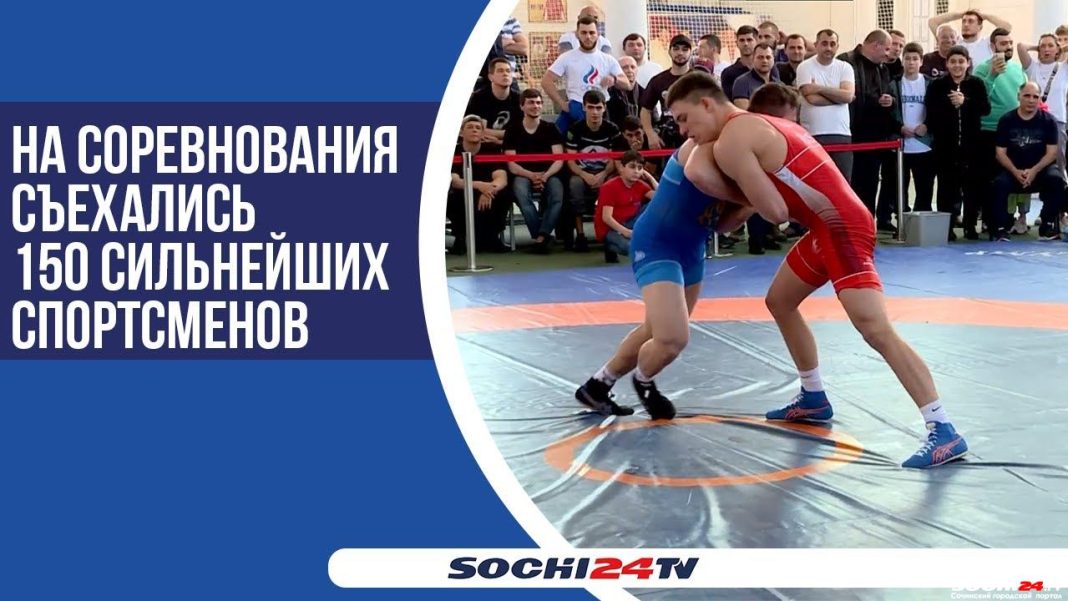 Стремятся стать Олимпийцами: в Сочи состоялось первенство ЮФО по греко-римской борьбе (ВИДЕО)