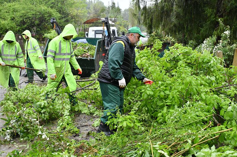 К Радонице в Сочи провели масштабную уборку