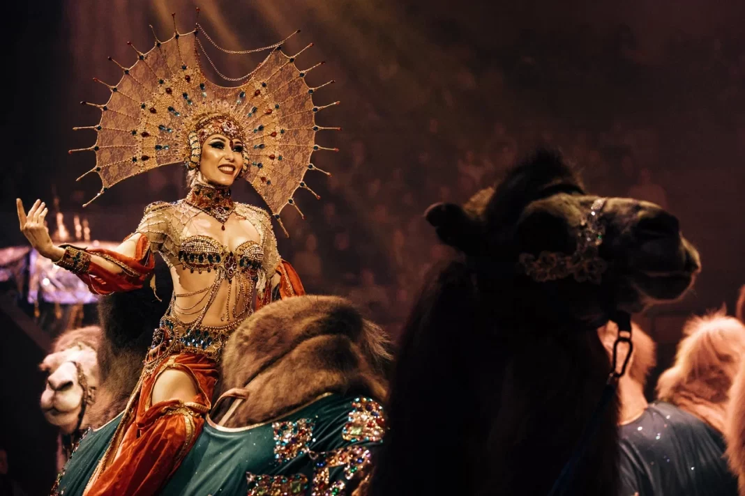 Впервые в Сочинском цирке: новое шоу Гии Эрадзе «ПЕСЧАНАЯ СКАЗКА»