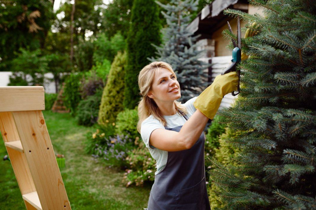 Как не превратиться в банкрота на майских: эти правила должны знать все дачники