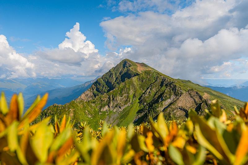 Горные курорты Сочи раскрыли свою стратегию на летний сезон