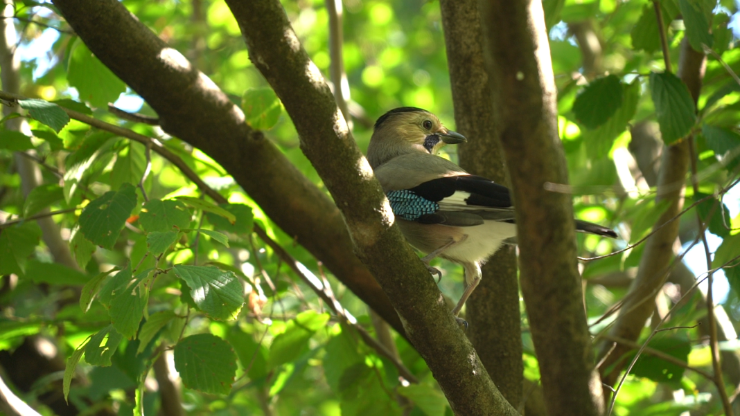 Погода в Сочи 7 и 8 апреля: будет ли дождь?