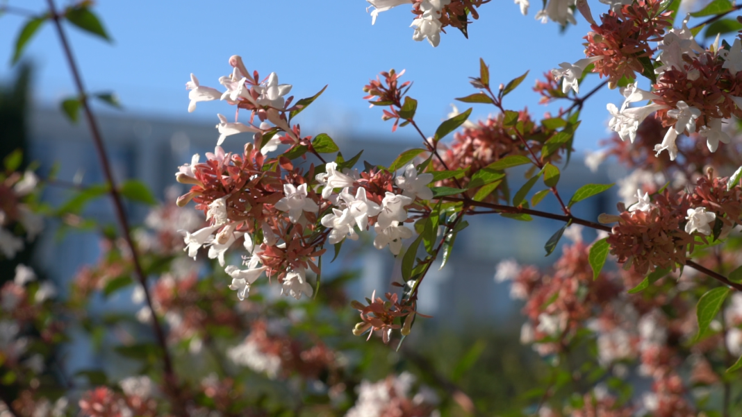 Синоптики рассказали о погоде в Сочи в ближайшее время
