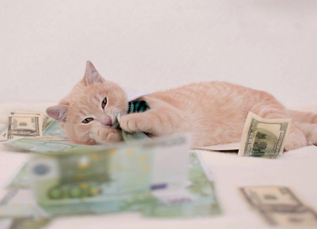 Целое состояние в кармане: как банкноты в 200 и 2000 рублей могут сделать из вас миллионера