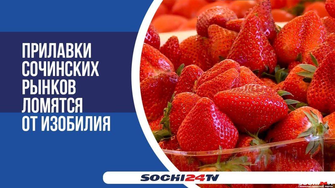 Сезон открыт: сколько стоит клубника в Сочи? (Видео)
