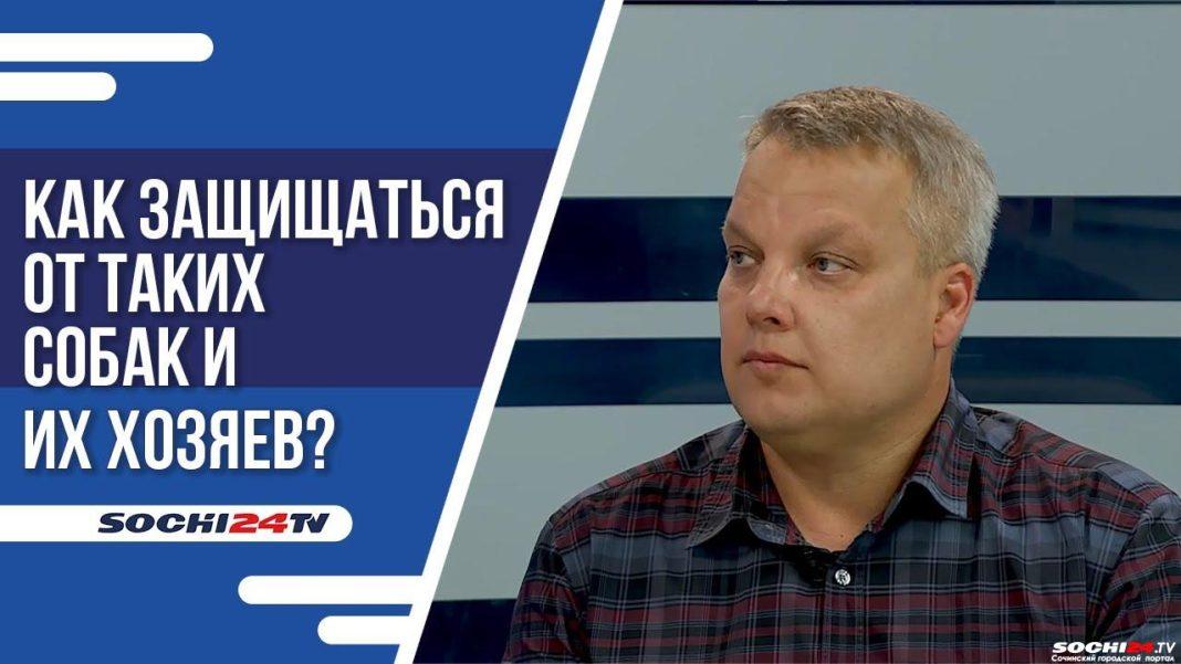 В Сочи домашняя собака напала на ребенка: кто виноват и какие законы защищают в такой ситуации?