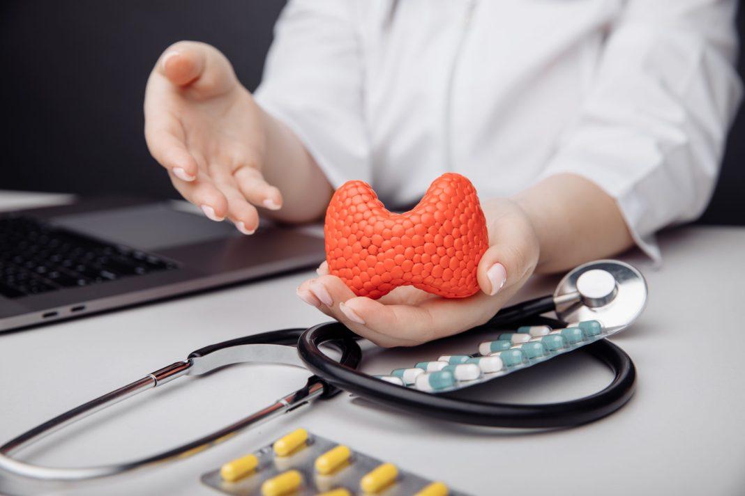 В Краснодарском крае стартовала Неделя профилактики заболеваний эндокринной системы