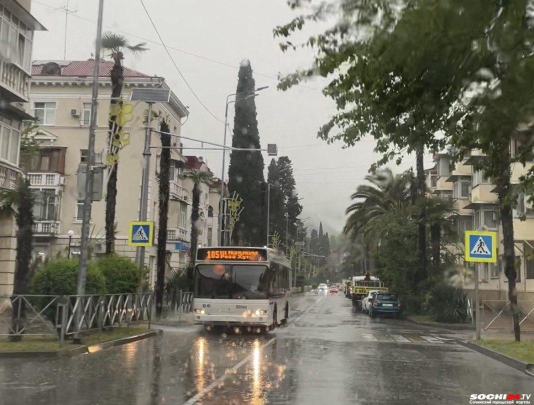 Сочи позавидует северу: синоптики дали прогноз погоды на ближайшие дни