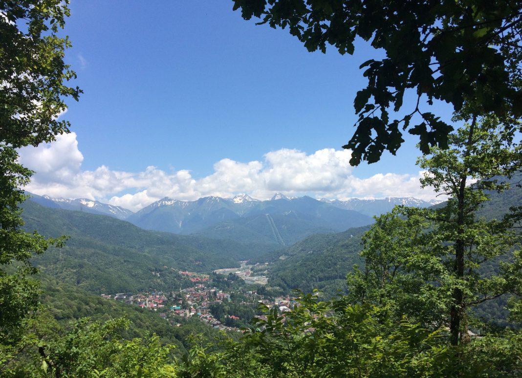 Спасение в горах Сочи: как четыре отважные туристки нашли укрытие под листьями лопуха