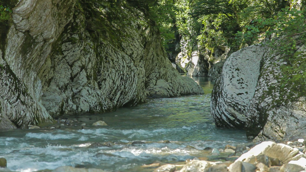 Вместо штрафа лишение свободы: в Сочи ужесточили приговор предпринимателям за ущерб заповеднику