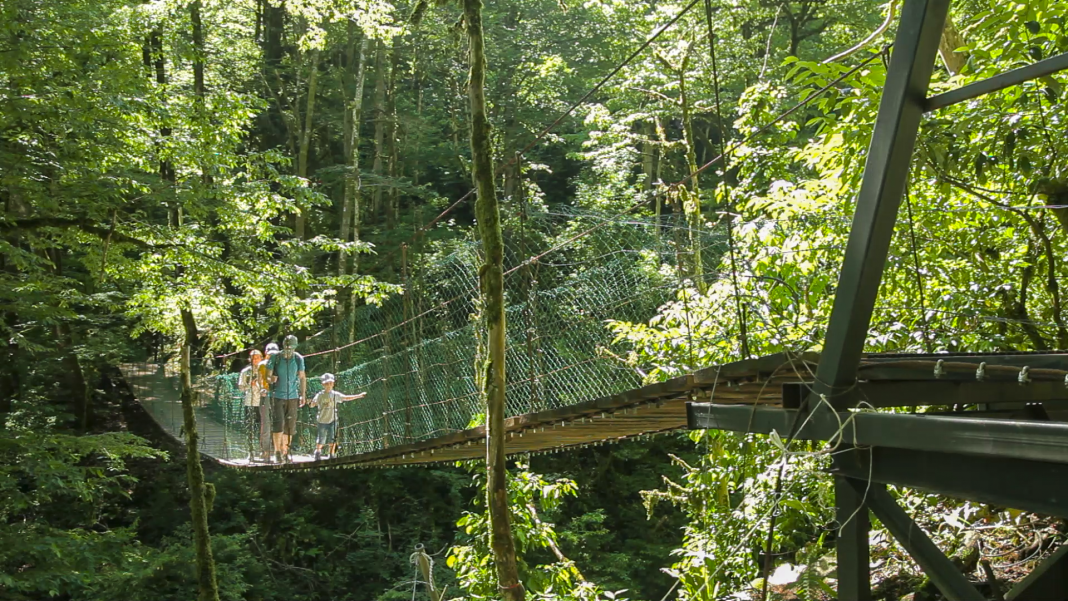 Кавказский заповедник открывает летние маршруты для туристов