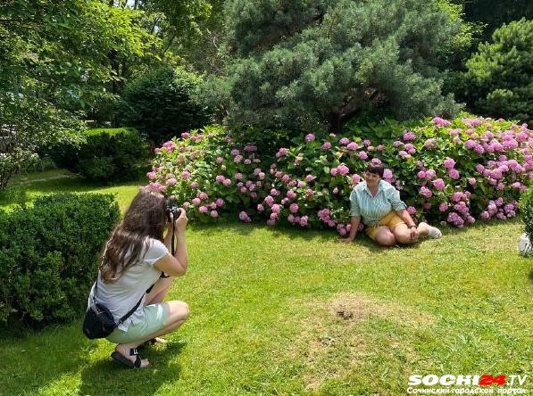 “Цветки-солнца” заполонили Сочи (Видео)