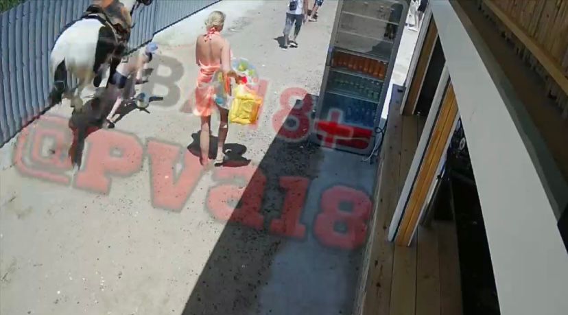 Безумный конь нападает на детей в Анапе (Видео)